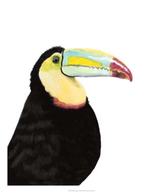 Watercolor Toucan