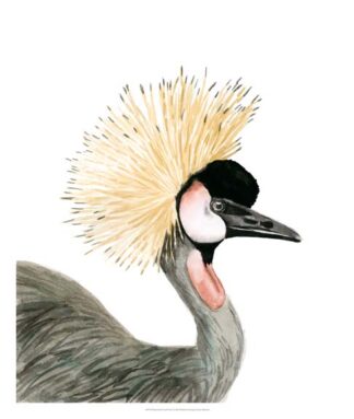 Watercolor Crested Crane