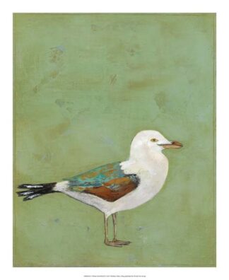 Vibrant Shorebird II