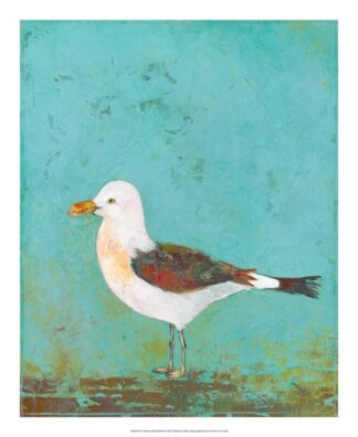 Vibrant Shorebird III