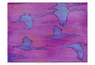 Flying Silhouettes I