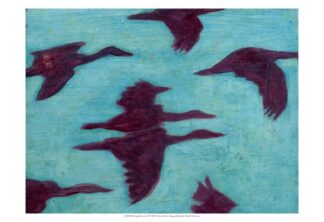 Flying Silhouettes II