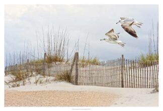 Water Bird Glimpse I