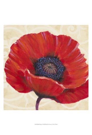 Red Poppy I