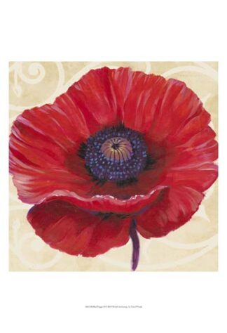 Red Poppy II