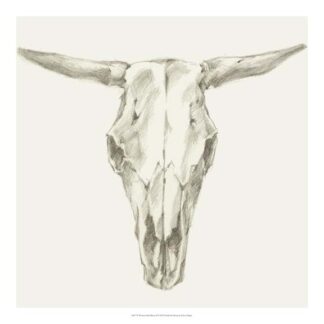 Western Skull Mount II