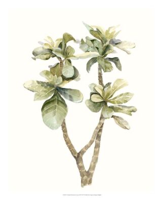 Tropical Watercolor Leaves III