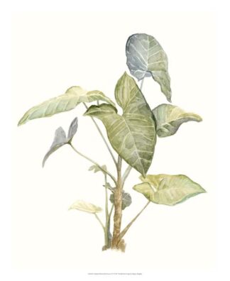 Tropical Watercolor Leaves IV