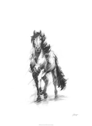 Dynamic Equestrian I