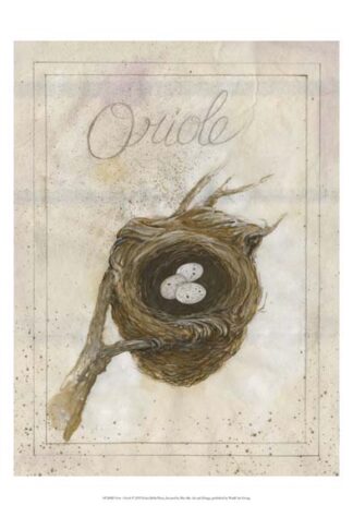 Nest - Oriole