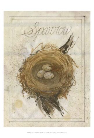 Nest - Sparrow
