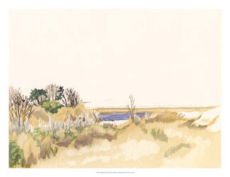 Minimalist Coastline III