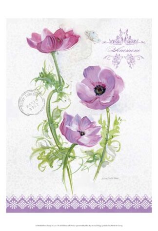 Flower Study on Lace I