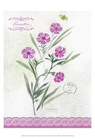 Flower Study on Lace III