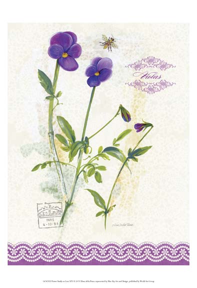 Flower Study on Lace XIV