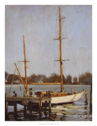 Ivory Falcon at Rest