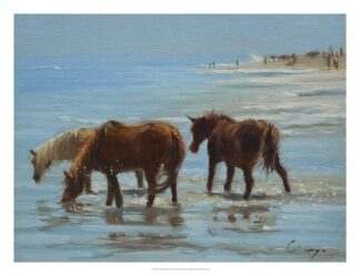 Chincoteague Ponies