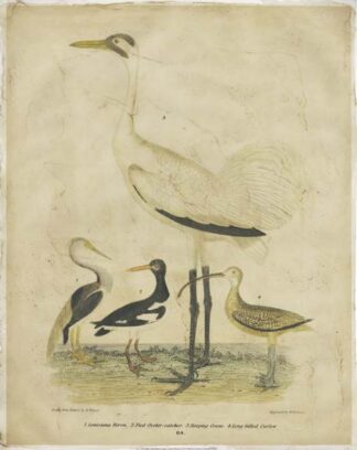 Embellished Crane & Heron