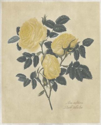 Embellished Double Yellow Rose