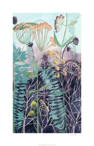 Illuminated Wildflowers II