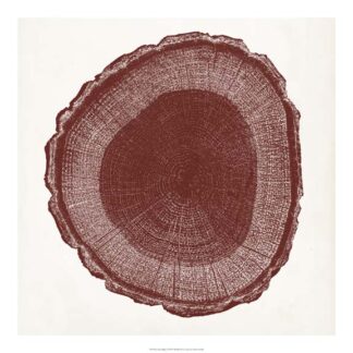 Tree Ring I