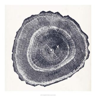 Tree Ring III