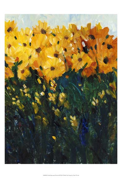 Color Spectrum Flowers II