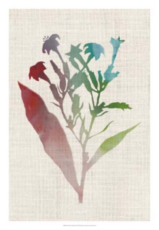 Watercolor Plants II