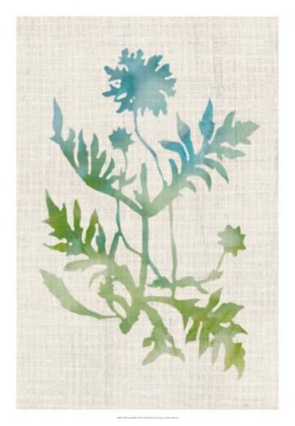 Watercolor Plants III