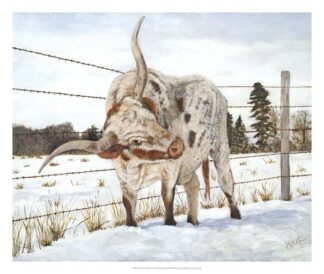 Itchin' & a Scratchin' I