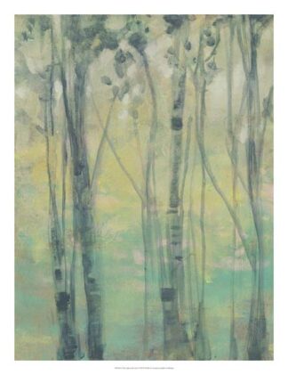 The Light in the Trees I