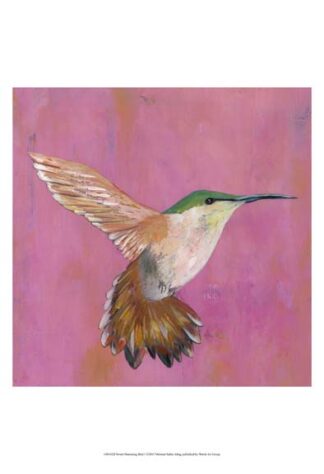 Sweet Hummingbird I