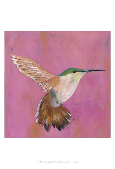 Sweet Hummingbird I