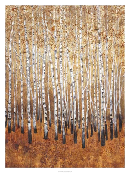 Sienna Birches I