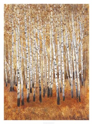 Sienna Birches II