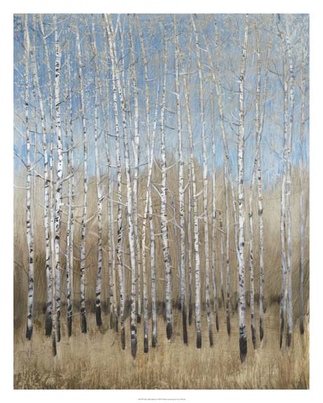 Dusty Blue Birches I