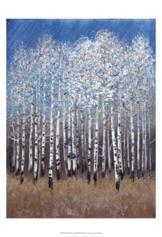 Cobalt Birches II