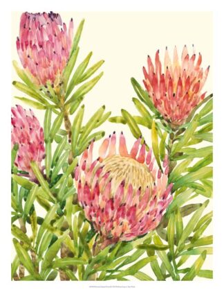 Watercolor Tropical Flowers II