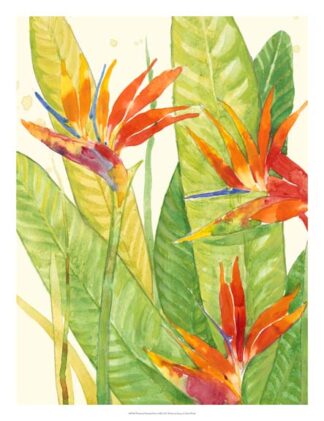 Watercolor Tropical Flowers III
