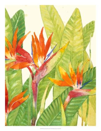 Watercolor Tropical Flowers IV