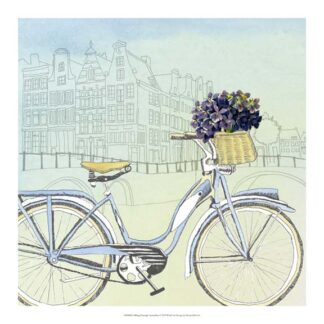 Biking Through Amsterdam