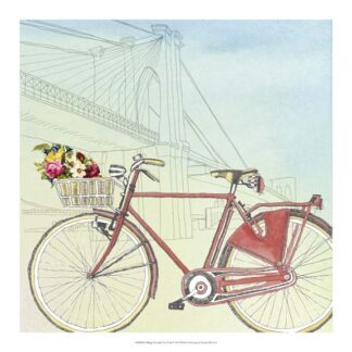 Biking Through New York