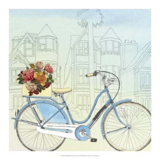 Biking Through San Francisco