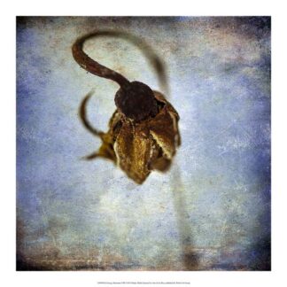 Grunge Remnants VIII