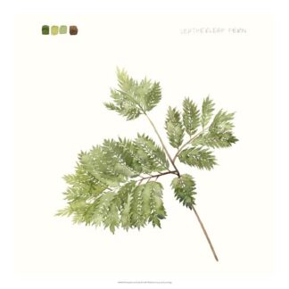 Watercolor Leaf Study II