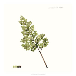 Watercolor Leaf Study III