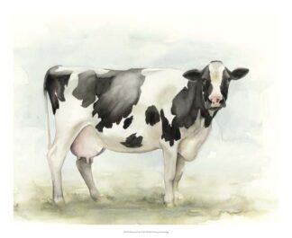Watercolor Cow I