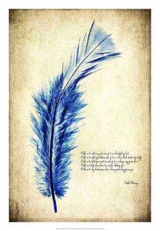 Feather in Color I