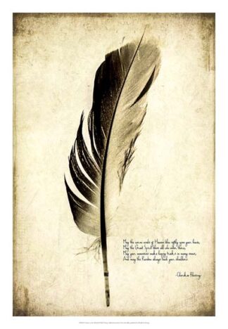 Feather on the Wind III