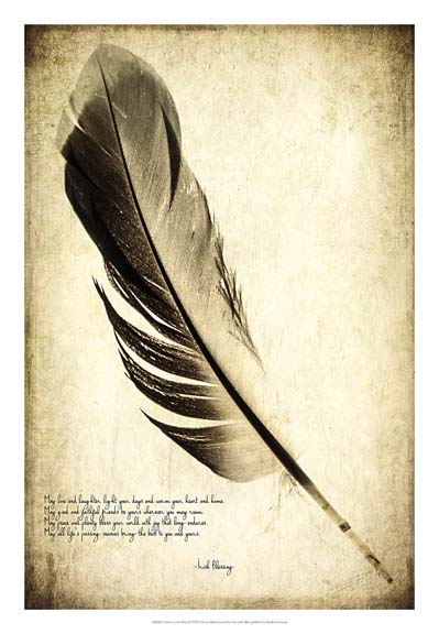 Feather on the Wind IV
